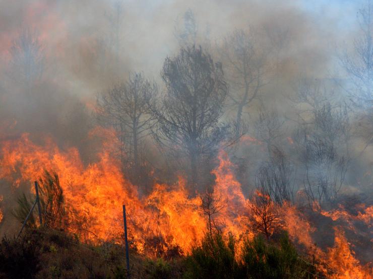 Le Risque Incendies / Feux De Forêt Dans Le Département Du Loiret